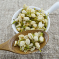 Premium Tinggi Bunga Jasmine Bunga